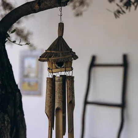 La Vida Libre Comares