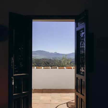 La Vida Libre * Comares